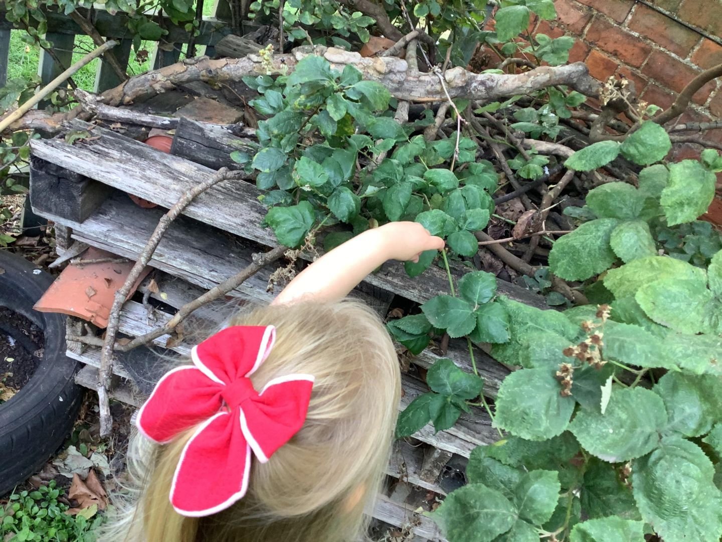 A child looking at the bug hotel in the garden