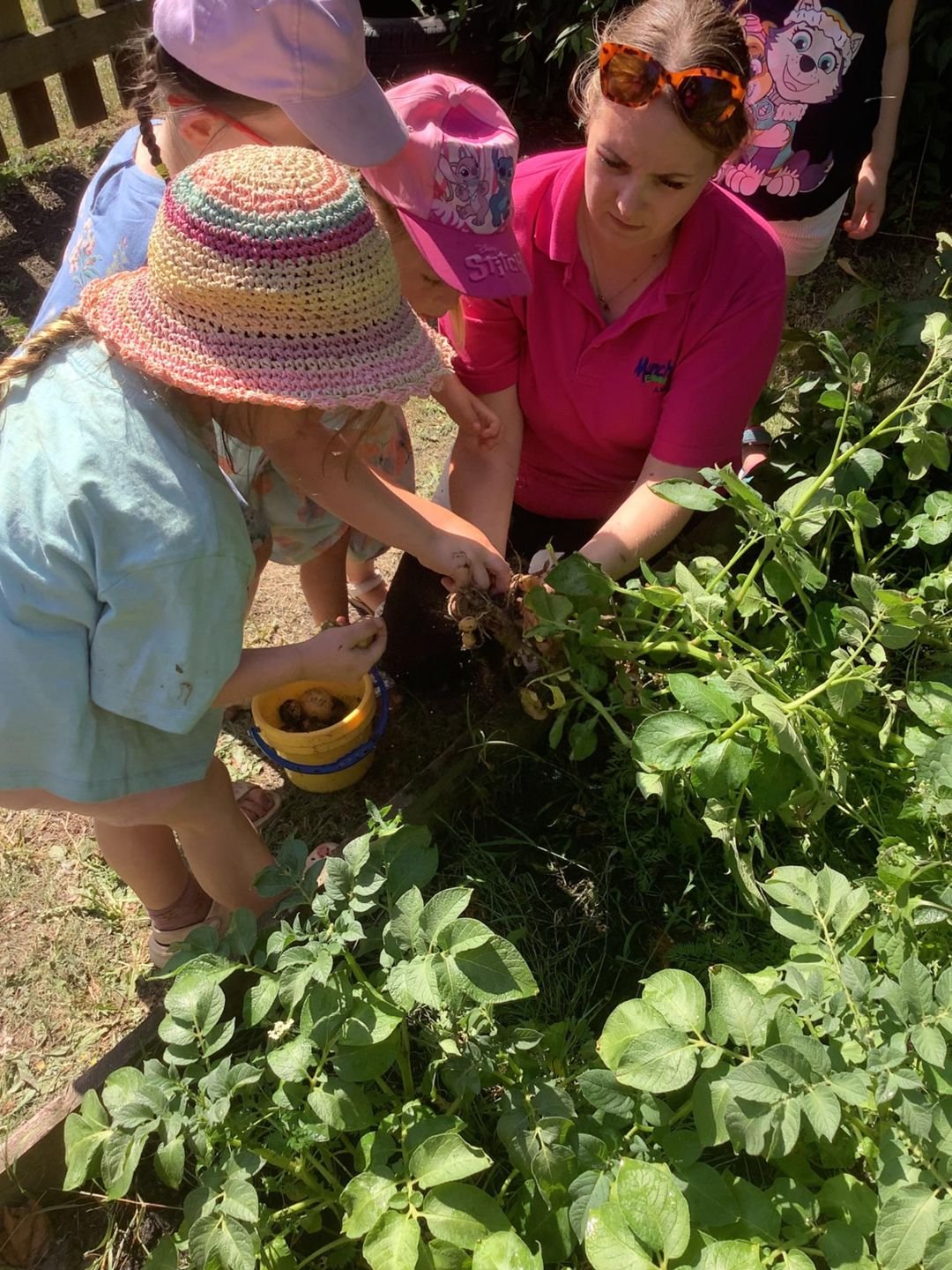 Children picking vegetables in the nursery garden