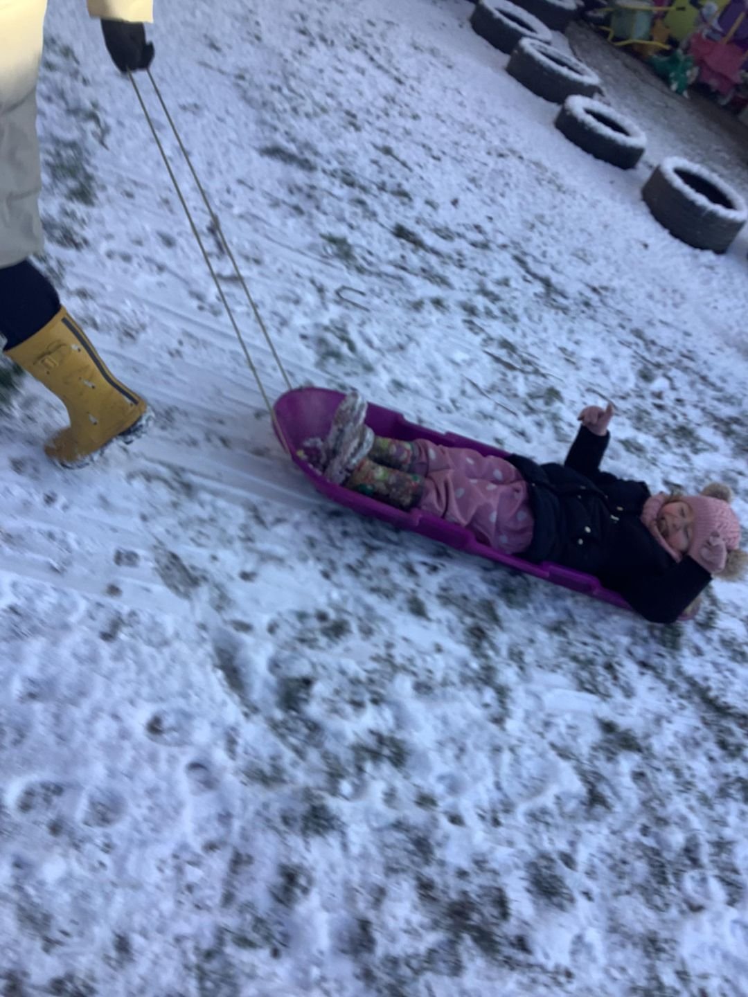 Sledging in the snow in the nursery garden